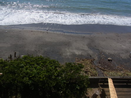 c0224154_2364818.jpg
