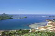 f0036354_00559.jpg