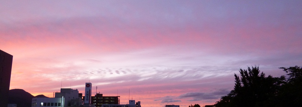 a0193457_213136100.jpg