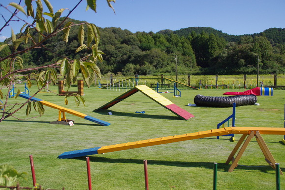 e0213360_23232074.jpg
