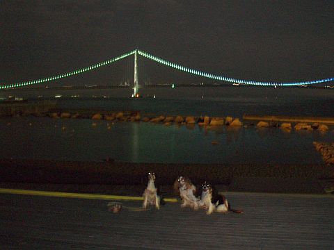f0047773_9455926.jpg