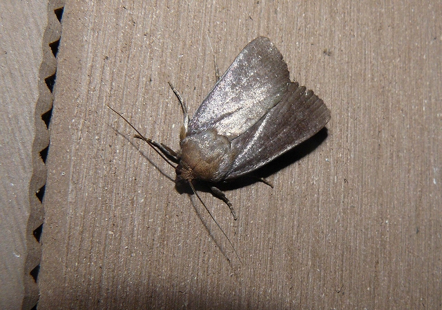 d0019074_8445395.jpg