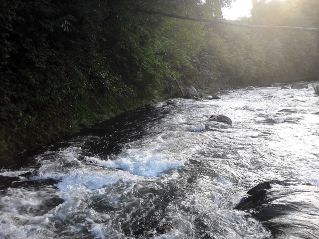 a0093677_10455264.jpg