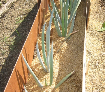 f0003283_16511648.jpg