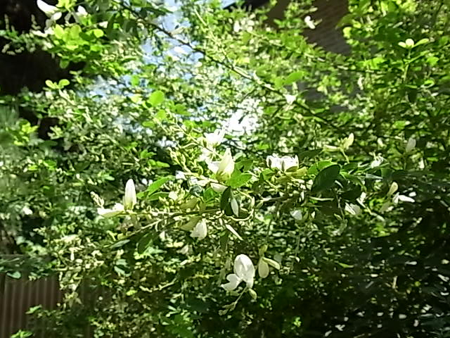 b0206784_18153181.jpg