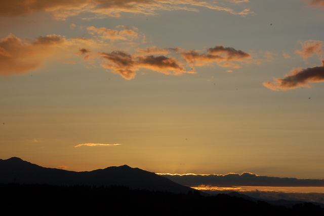 b0203588_20231410.jpg