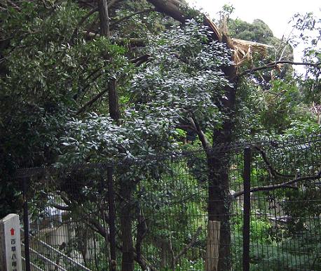 e0023790_22552984.jpg