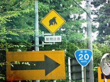 e0137390_2085657.jpg