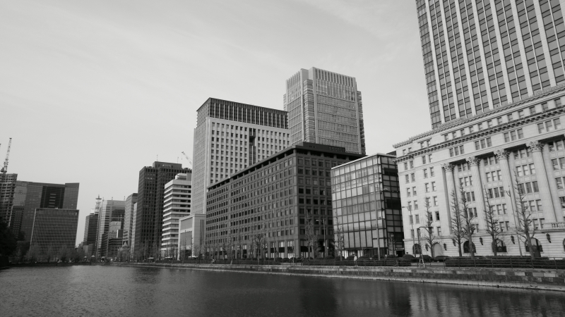 a0185693_763917.jpg