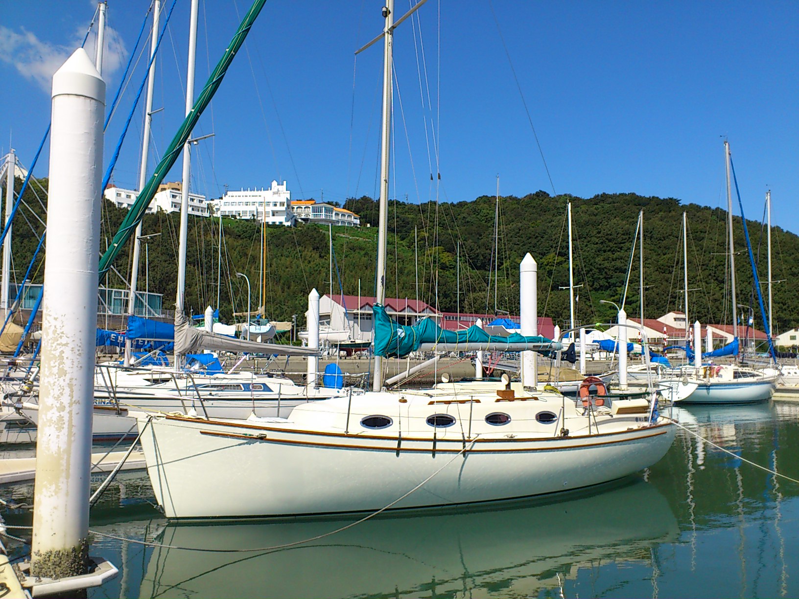 d0107097_2349683.jpg