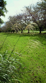 f0114900_14212426.jpg
