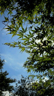 f0114900_14212499.jpg