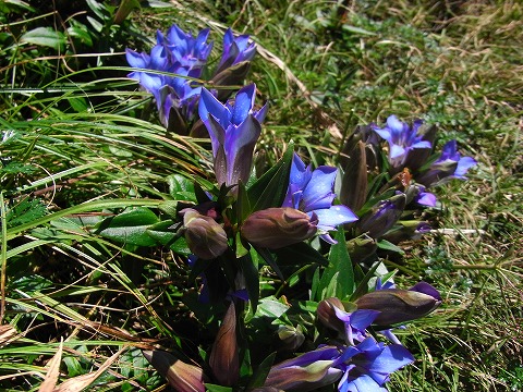 f0187402_18253756.jpg