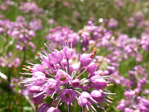 f0187402_18273732.jpg