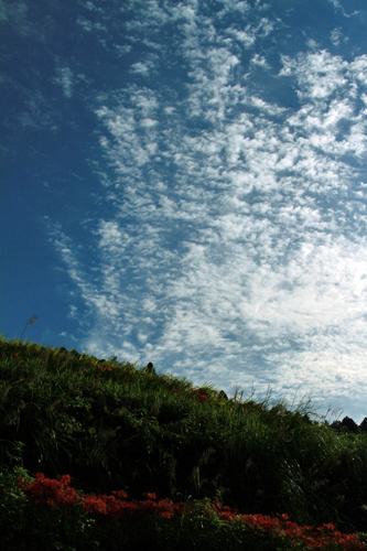 b0014607_15142113.jpg