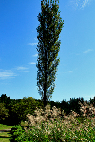 b0014607_15153277.jpg