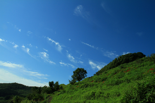 b0014607_15245888.jpg