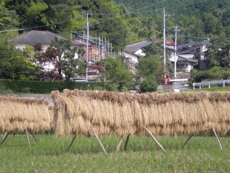 b0061107_101328100.jpg