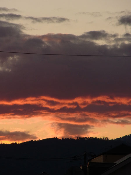 e0083517_383741.jpg