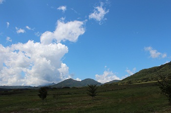 b0197418_21145476.jpg