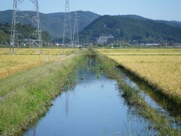 a0118120_1024866.jpg