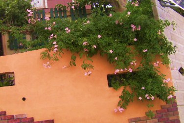 c0204121_10111897.jpg