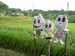 f0000521_4405625.jpg