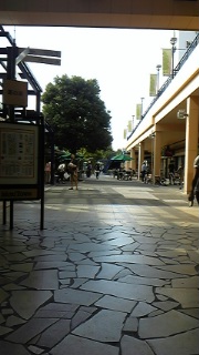 c0038722_17444347.jpg