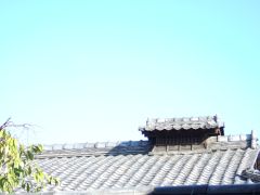 d0041124_8325595.jpg