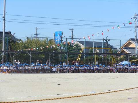 d0240025_1715925.jpg