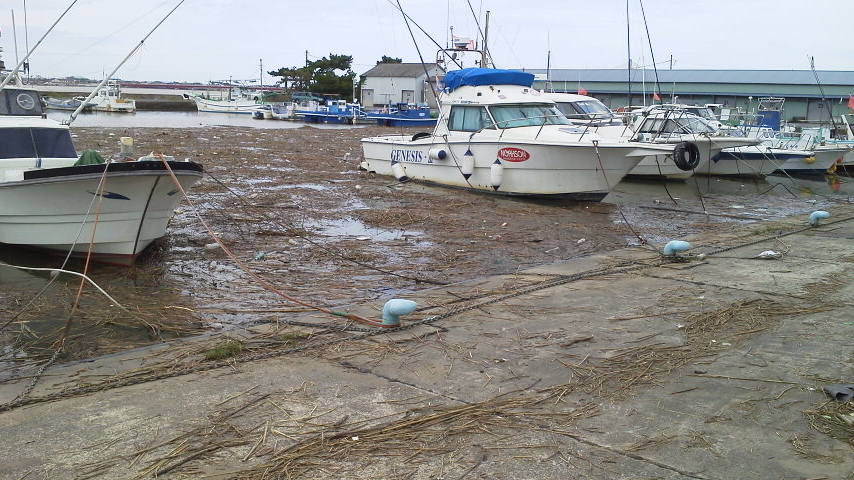 f0125225_710366.jpg