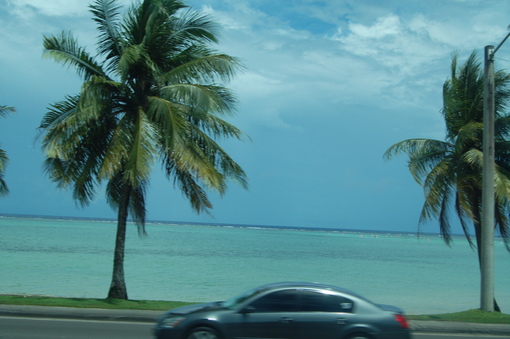 d0155434_1935133.jpg