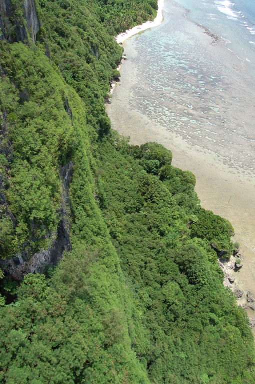 d0155434_19365613.jpg