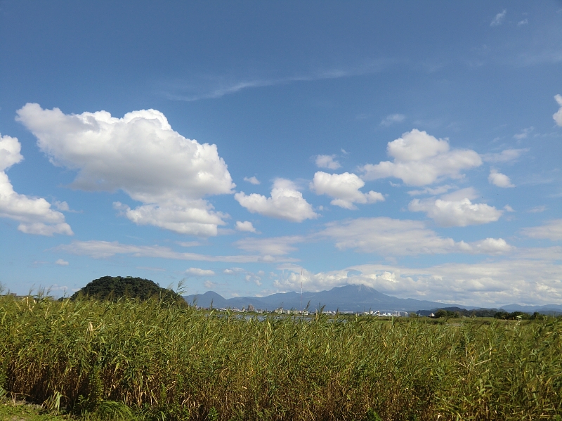 b0029438_22212998.jpg