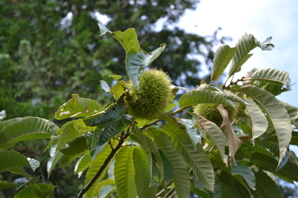 e0228938_20131887.jpg