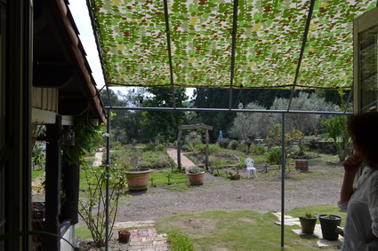 e0228938_2017523.jpg