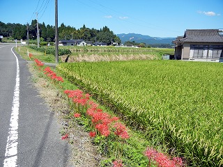 a0135840_17573537.jpg