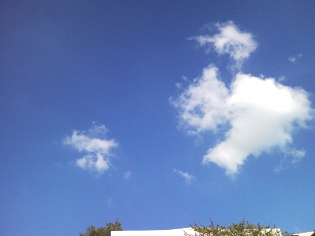 e0150843_151838.jpg