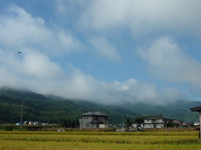 c0220047_937983.jpg