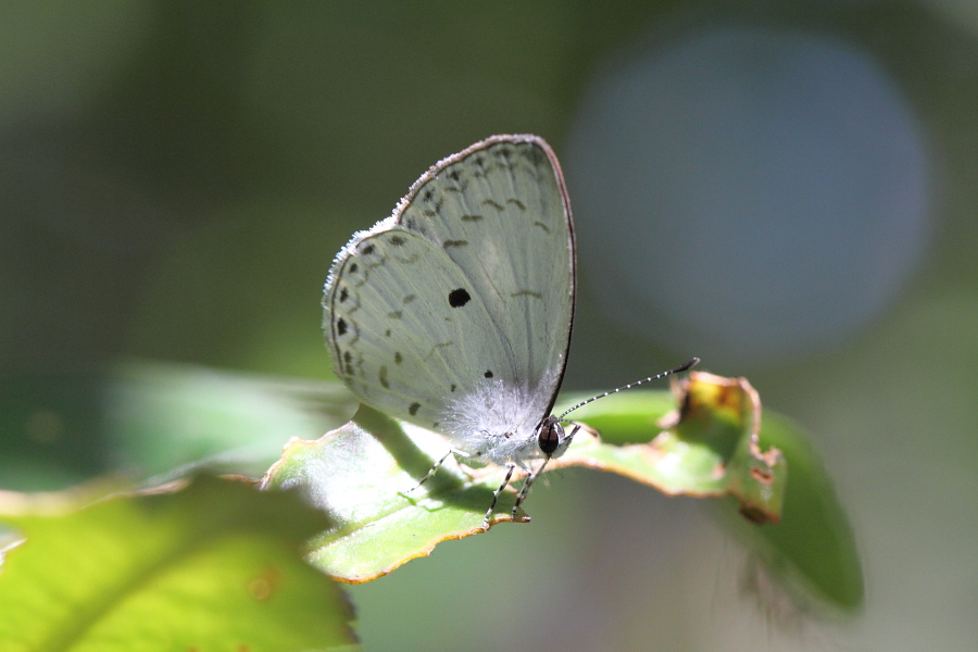 a0094850_1730415.jpg