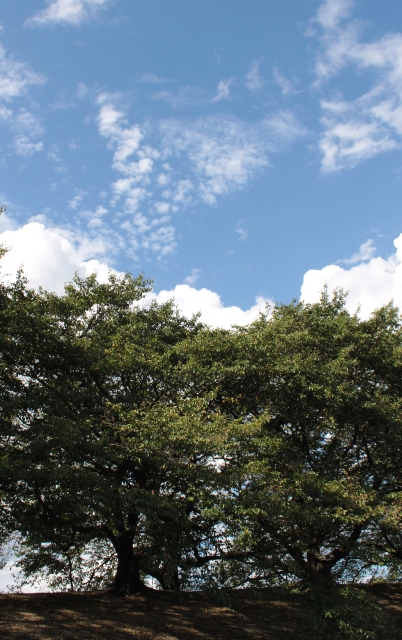 e0017051_22592164.jpg