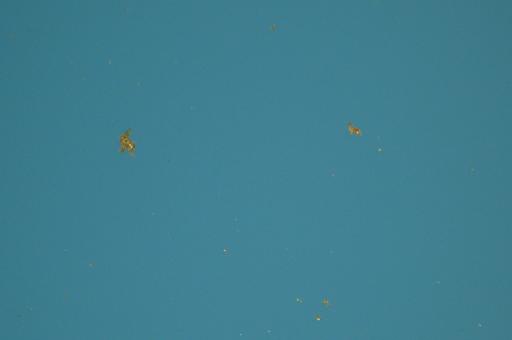 f0221360_19415779.jpg
