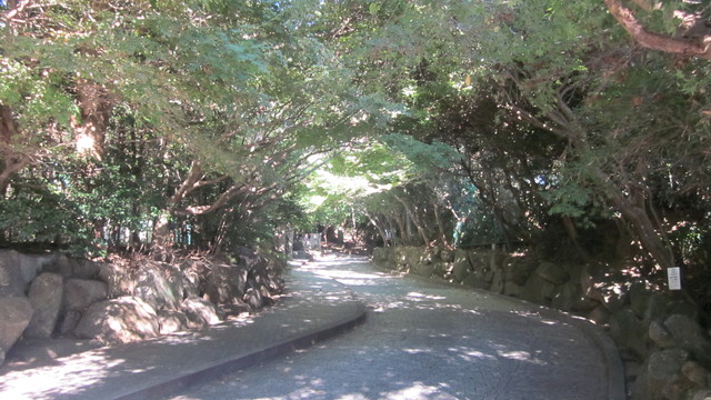 e0214662_11122149.jpg