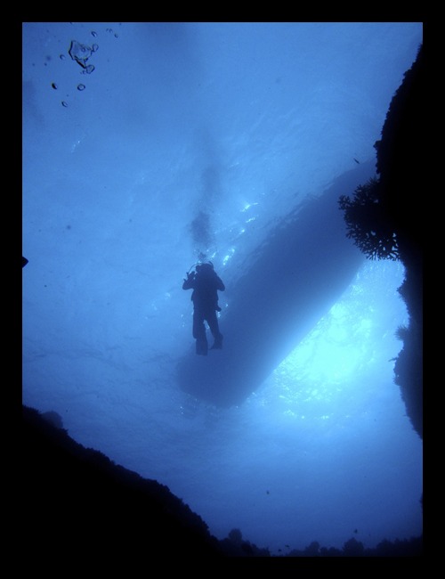 b0062363_634937.jpg