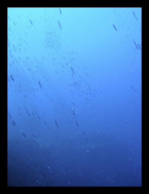 b0062363_6371545.jpg