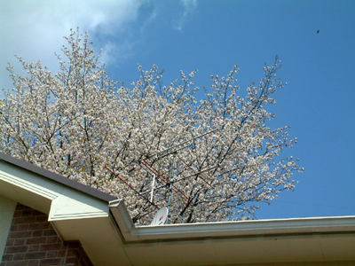 c0050264_0294240.jpg