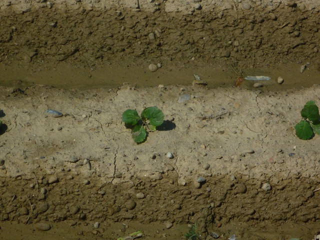 b0223766_22282370.jpg