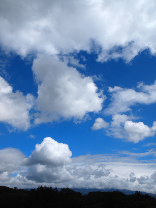 c0122670_22211172.jpg