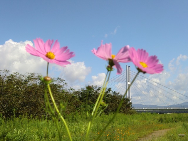 e0085772_16491792.jpg