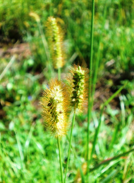 e0085772_16493961.jpg